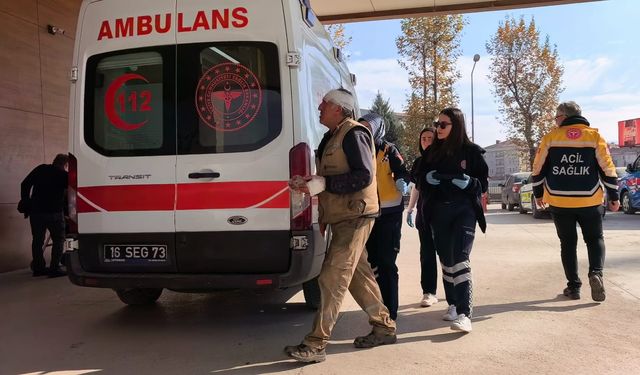 Bursa'da palet fabrikasında yangın