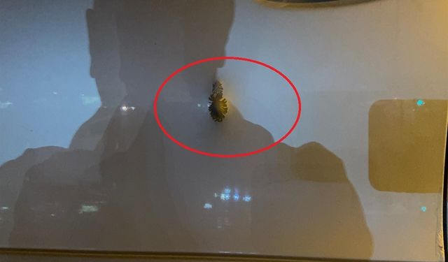 Diyarbakır’daki Silahlı Saldırıda Tutuklu Sayısı 9’a Yükseldi