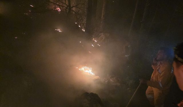 Arsuz'a düşen yıldırım orman yangınına neden oldu