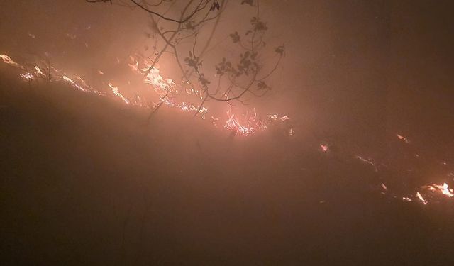 Hatay'da yıldırım düşmesinin neden olduğu orman yangını, 12 saatte söndürüldü