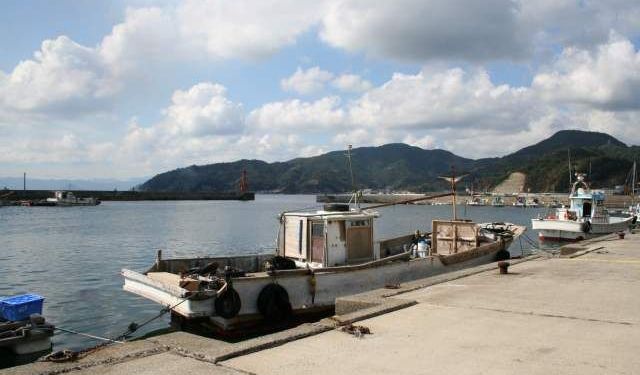 Japonya'da korkutan yangın