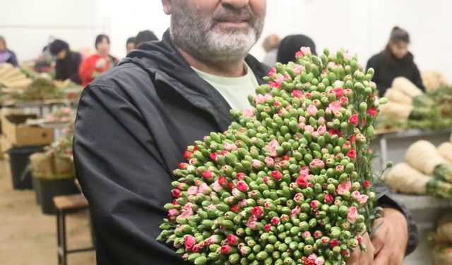 Kesme Çiçek ve Süs Bitkilerinde Rekor İhracat