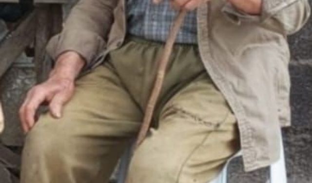 Mantar Toplamaya Gidip Dönmedi