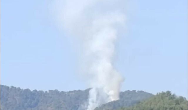 Muğla Seydikemer'de orman yangını çıktı