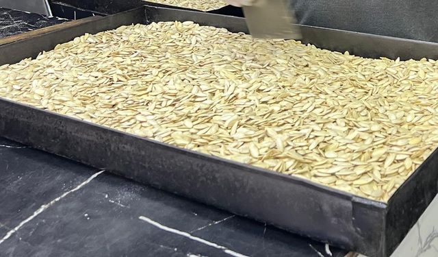 Nevşehir'in Kabak Çekirdeğine Yabancılardan Yoğun İlgi