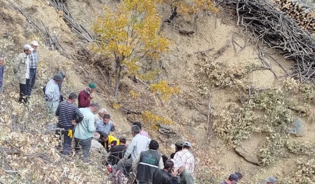 Odun toplamaya çıktığı dağda kalp krizi geçirdi