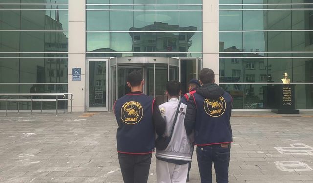 Ordu'da jandarma operasyonları