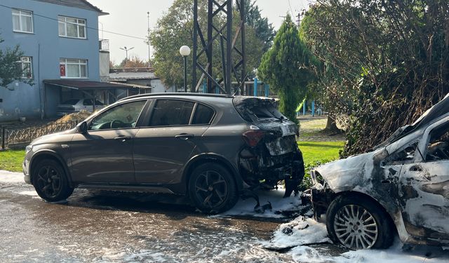 Park halindeki otomobilde yangın çıktı