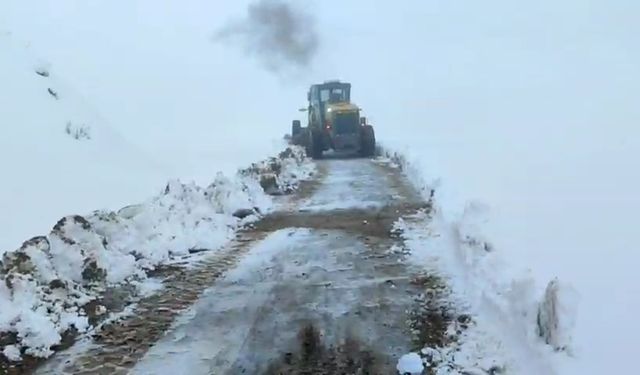 Siirt'te kar nedeniyle araçlar mahsur kaldı