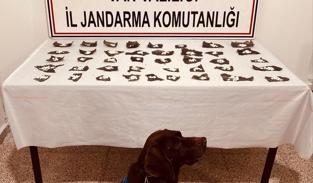 Van'da Kapsül İçinden Bonzai Çıktı