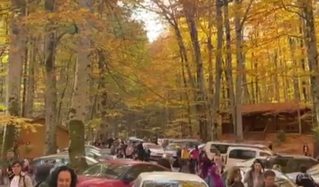 Yedigöller Milli Parkı, ziyaretçi akınına uğradı