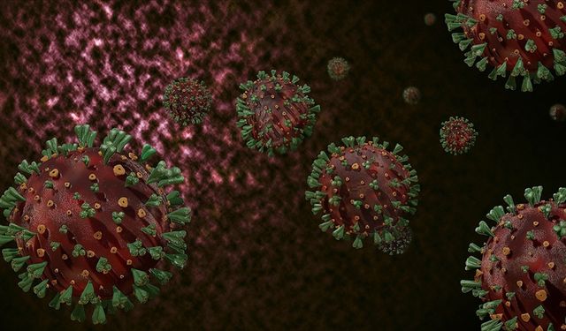 H3N2 Virüsü: Uzmanların Uyardığı Mevsimsel Grip Tehlikesi