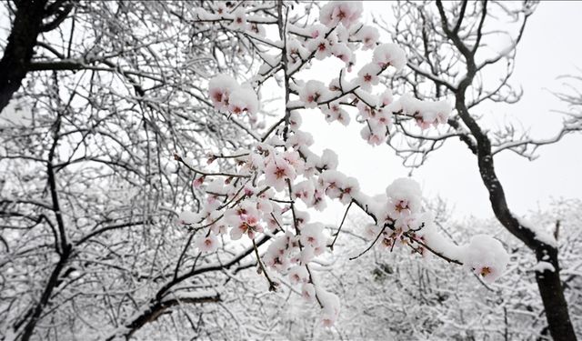 La Nina geri mi döndü?