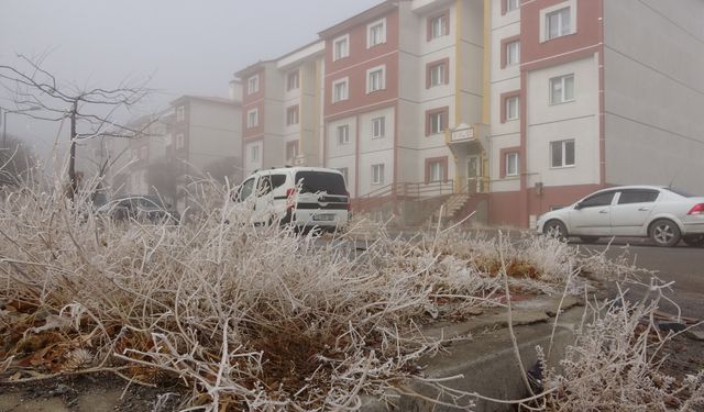 Bitlis'te sis etkisini gösterdi