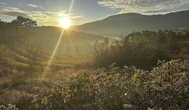 Isparta'nın gül bahçelerine sonbahar renkleri hakim oldu