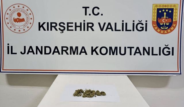 Kırşehir'de uyuşturucu operasyonu: 1 yakalama