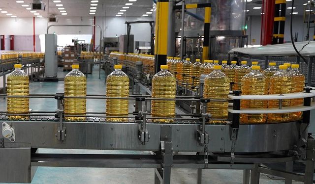 Türkiye'nin ayçiçek yağı ihracatında artış