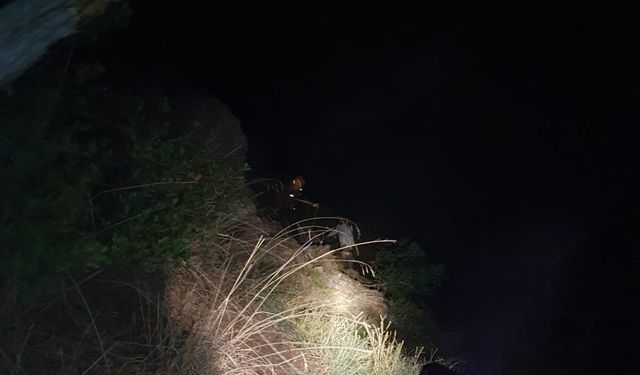 Bursa'da ormanda mahsur kaldı