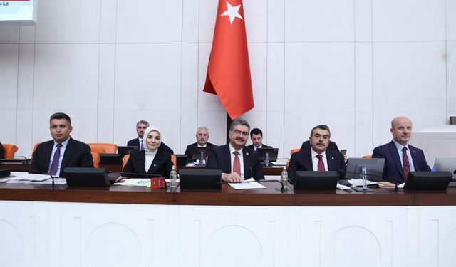 "Dijital medyaya dair denetleyici bir yasal düzenlemenin yapılması elzemdir"