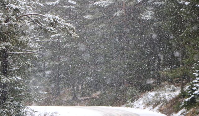 Kartalkaya'da Pistler Beyaza Büründü