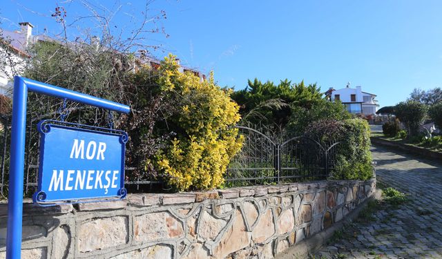 Kayahan'ın Gönül Köşkü satışta!