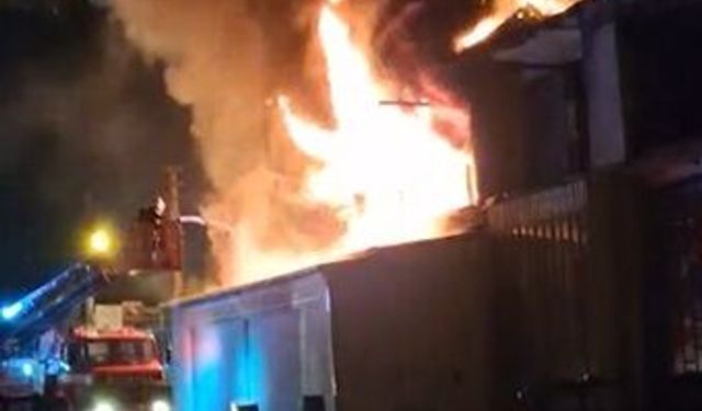 Sakarya'da korkutan yangın!