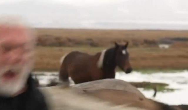 Sanatçı Onur Akın'a At Çarptı