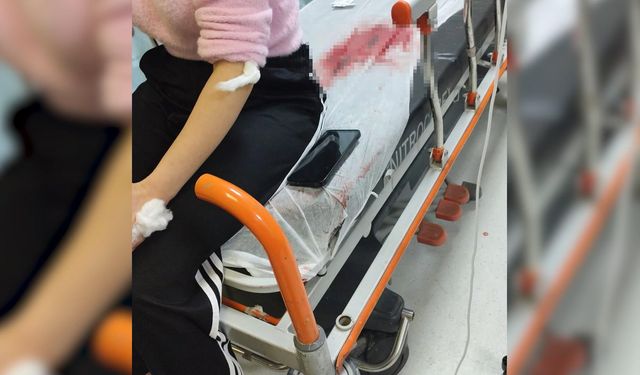 Şanlıurfa'da görümce eski yengesini bıçakladı