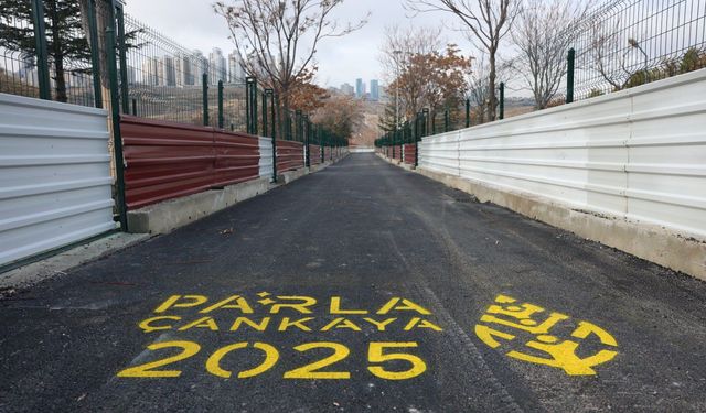 Çankaya'da Patili Dostlar için Yenileme Çalışması