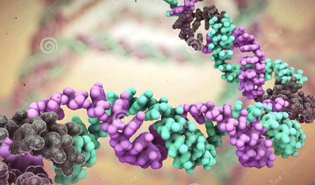 DNA hasarını nasıl engelleriz?