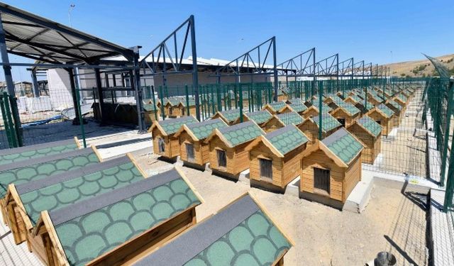 ABB'den Kanıtlarla Açıklama