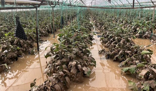 Antalya'da sağanak hasara yol açtı