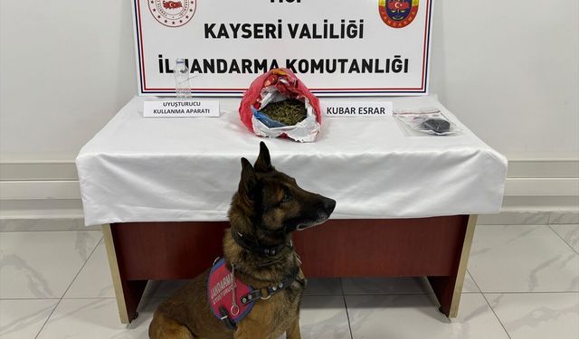 Kayseri'de uyuşturucu operasyonu