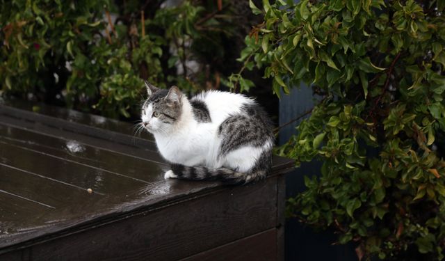 Antalya'da şiddetli sağanak hayatı olumsuz etkiledi