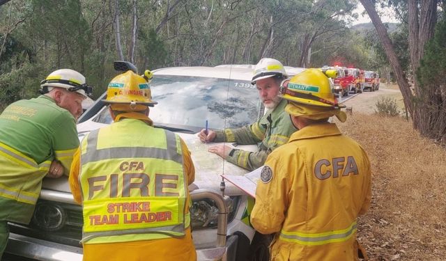 Avustralya orman yangınlarında son durum ne?