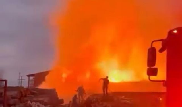 Bursa'da palet fabrikasında yangın çıktı