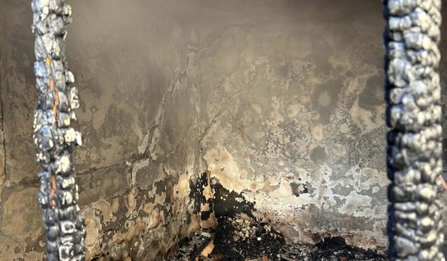 Çanakkale'de evinde çıkan yangında öldü