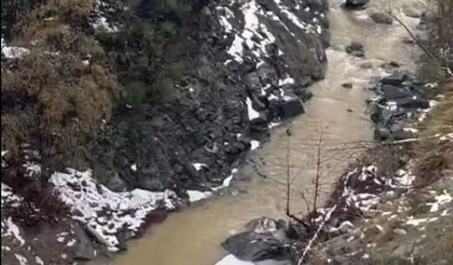 Hatay'da otomobil dereye uçtu