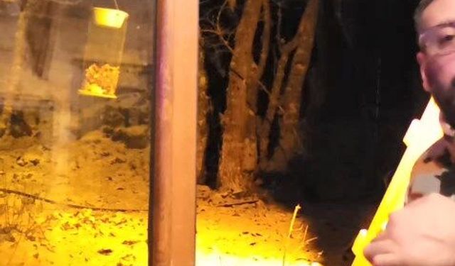 Kartepe'de Tilkiyi Eliyle Besledi