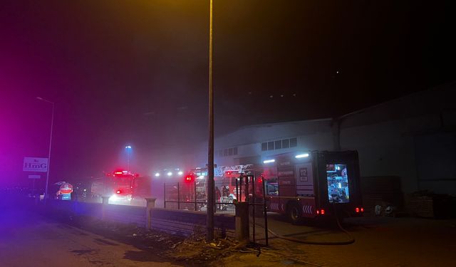 Kayseri'de Mobilya Fabrikası Yandı