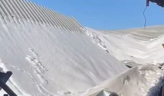 Mardin'de kara dayanamayan ahır çöktü: 10 koyun öldü