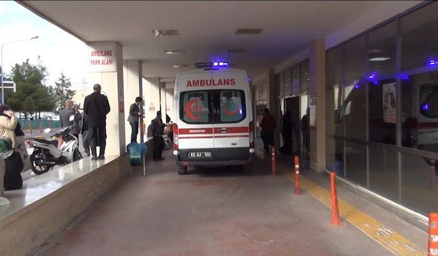 Şanlıurfa'da minibüs ağaca çarptı