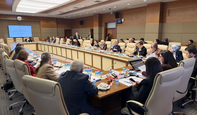 Suça Sürüklenen Çocuklara İlişkin Araştırma Komisyonu TBMM’de Toplandı