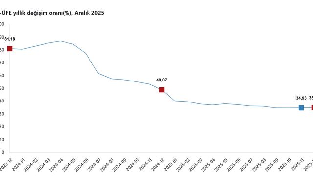TÜİK: Hizmet üretici fiyatları aralıkta artış gösterdi