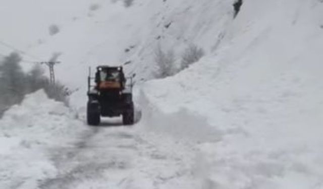 Tunceli'de çığ felaketi