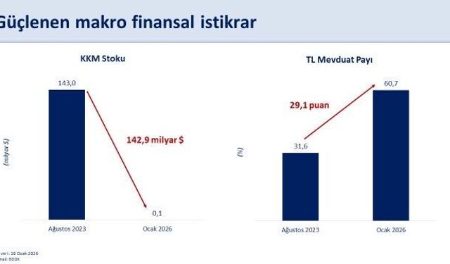 Türkiye'nin rezervleri tarihi zirvesinde