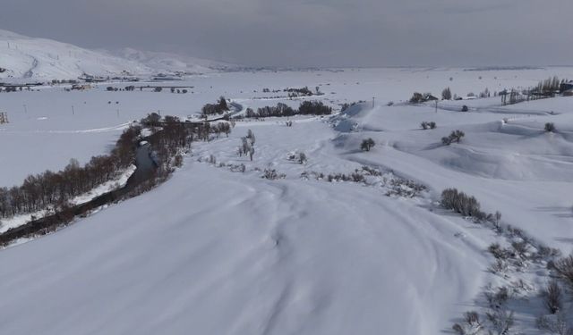 Yüksekova'da ördekler, buz tutan derede yüzdü
