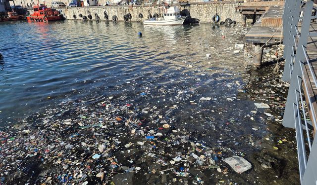 Zonguldak'ta dev dalgalar yolu çatlattı