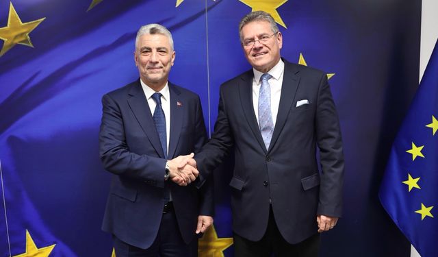 Bakan Bolat AB Ticaret ve Ekonomik Güvenlik heyetiyle buluştu