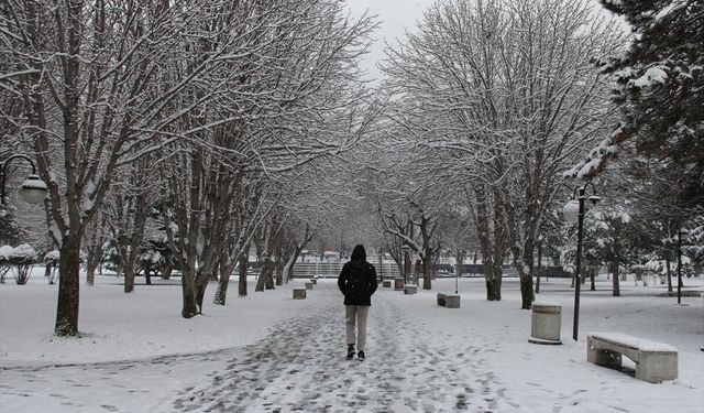Kayseri'de kar etkisini gösterdi